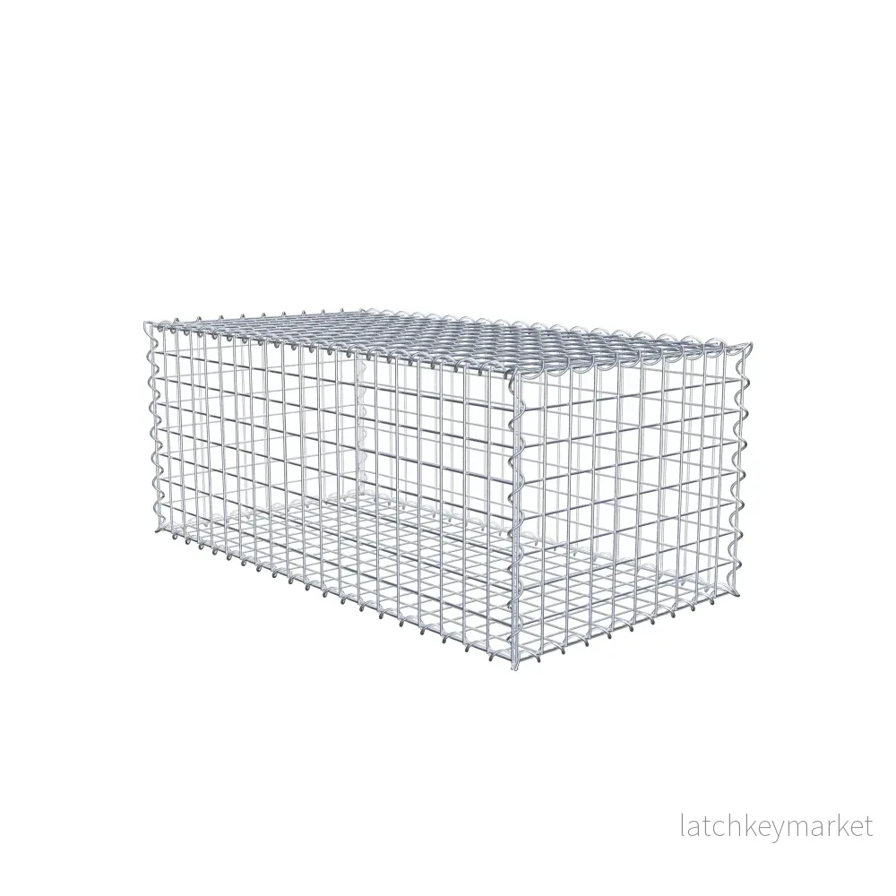 Gabion 100 cm x 40 cm x 50 cm (L x H x D), maskstorlek 5 cm x 5 cm, spiral - Bild 2