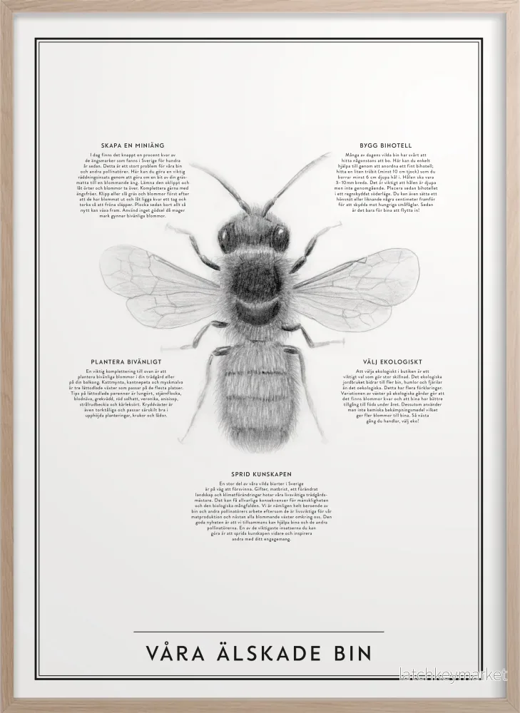 Poster "Våra älskade bin" 30 x 40 cm - Bild 3