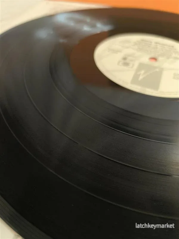 Steve Winwood – Refugees of the Heart (Vinyl, LP, Album, 1990) - Bild 2