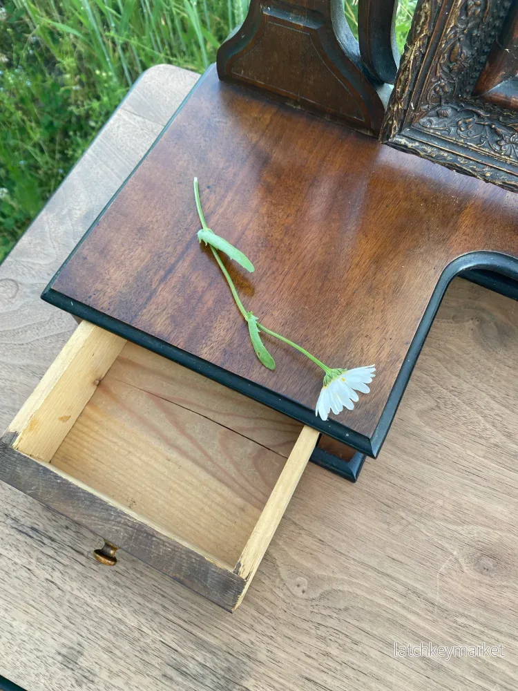 Stor vacker pigtittare med makalösa detaljer - Bild 2