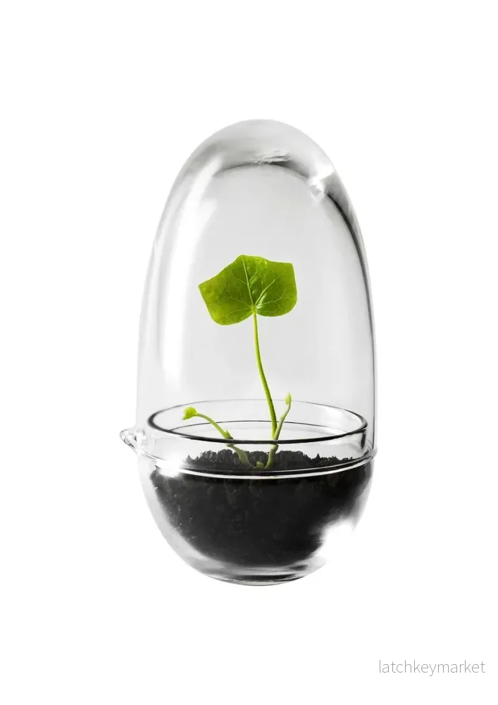 Grow Greenhouse