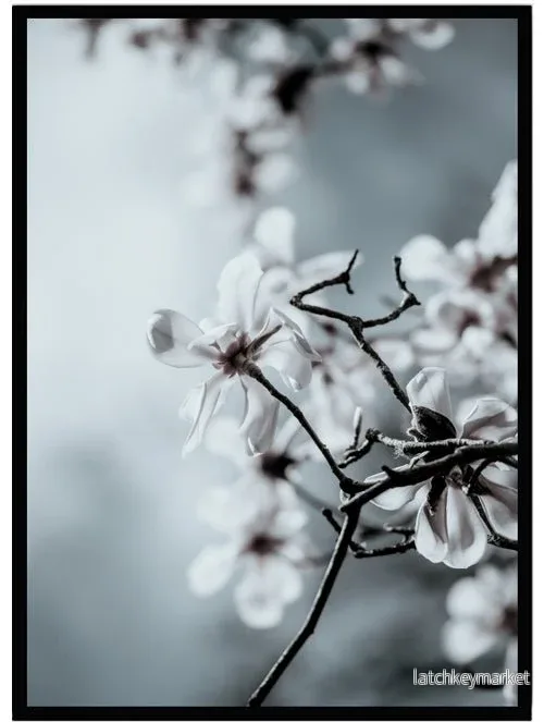 Poster Cherry tree Poster Cherry tree