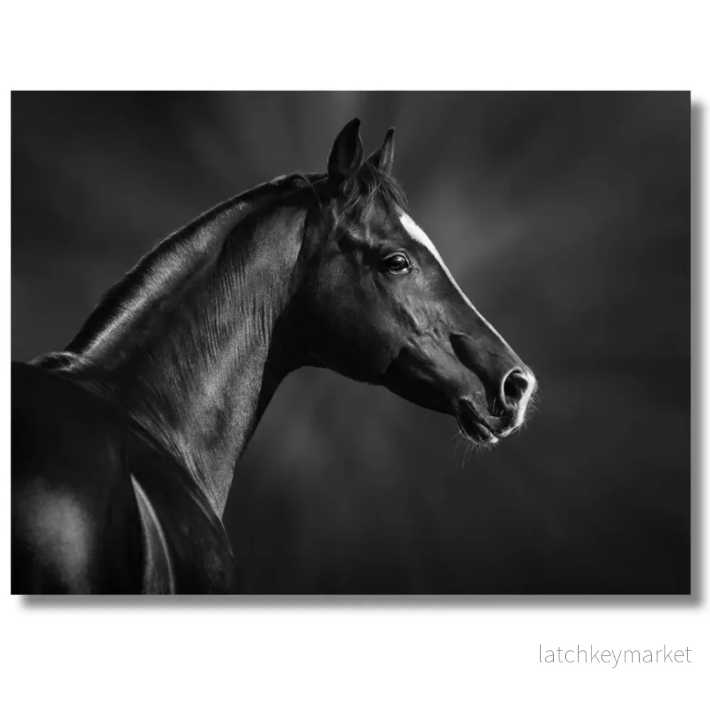 Tavla Aluminium art Horse