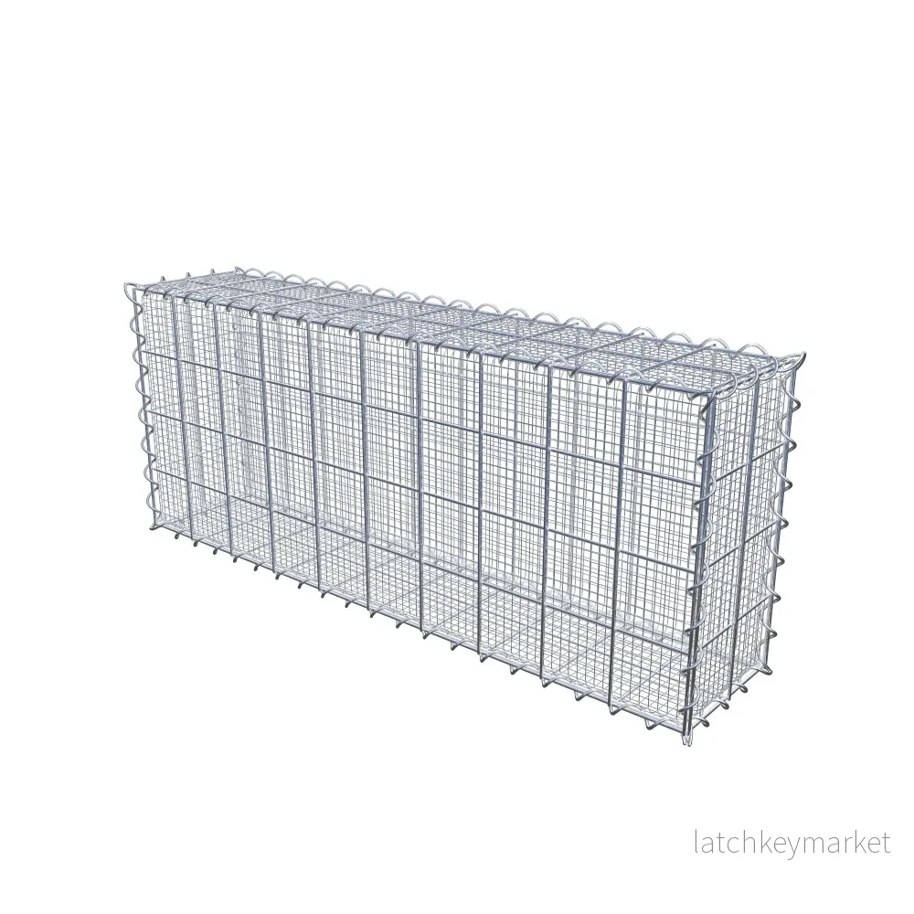 Sandgabion 100 cm x 40 cm x 20 cm (L x H x D), maskstorlek 10 cm x 10 cm, spiral - Bild 2
