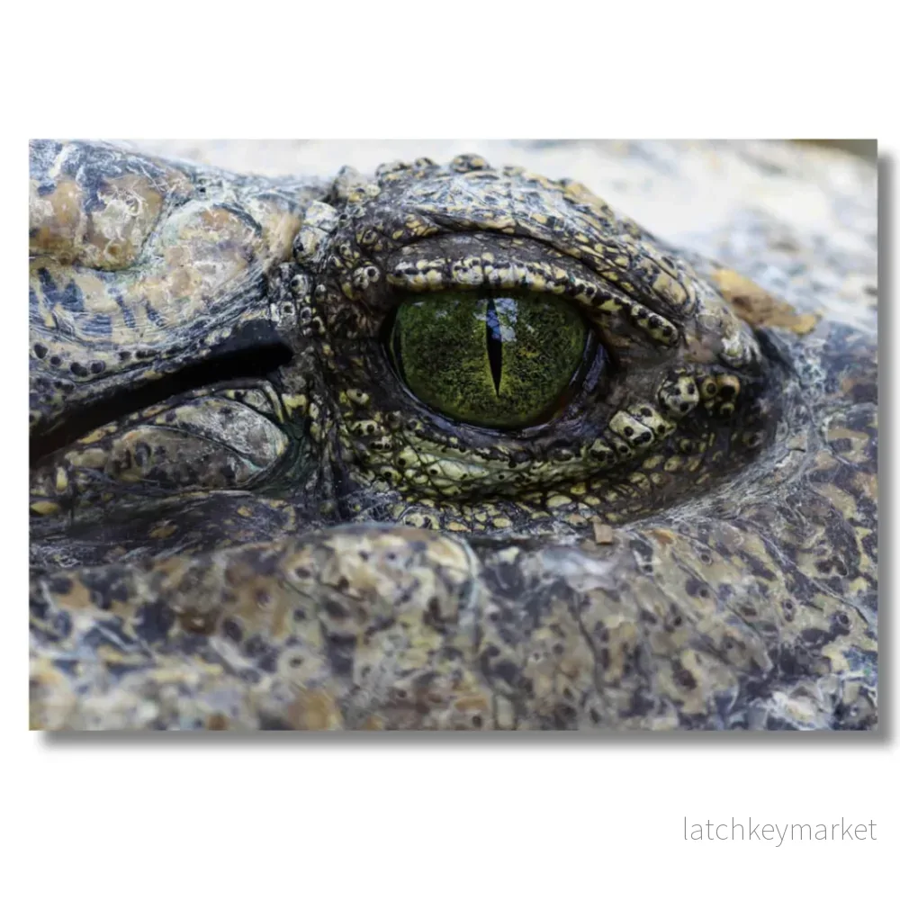 Tavla Aluminium art Crocodile Eye