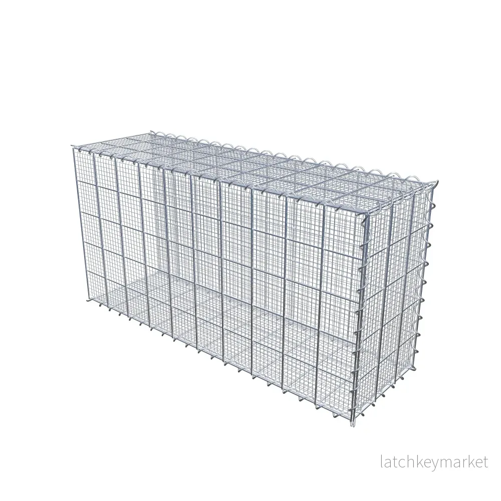 Sandodlingsgabion typ 2 100 cm x 50 cm x 30 cm (L x H x D), maskstorlek 10 cm x 10 cm, spiral - Bild 2