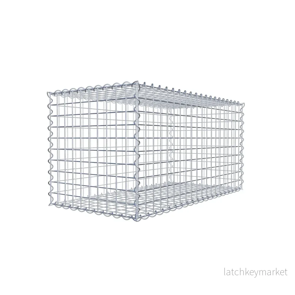 Gabion 100 cm x 50 cm x 50 cm (L x H x D), maskstorlek 5 cm x 5 cm, spiral