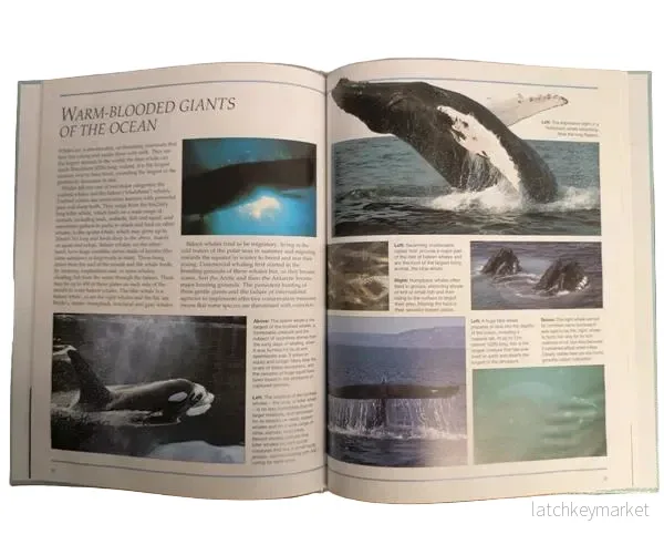 Ocean Life – Les Holliday - Bild 2