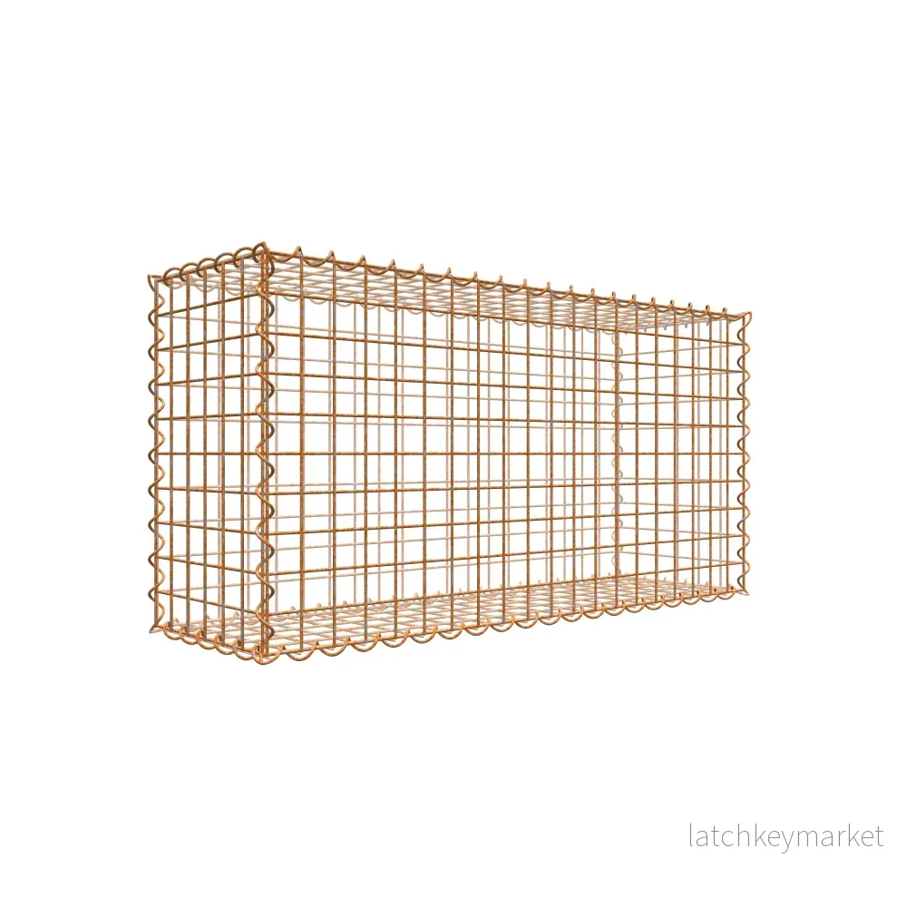 Rostig gabion 100 cm x 50 cm x 30 cm (L x H x D), maskstorlek 5 cm x 5 cm, spiral Rostig gabion 100 cm x 50 cm x 30 cm (L x H x D), maskstorlek 5 cm x 5 cm, spiral