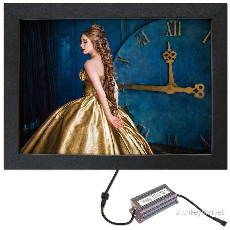 Crown LED-utgångsbox, enkelsidig Crown LED-utgångsbox, enkelsidig