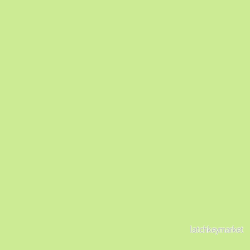 NCS S 0540-G40Y NCS S 0540-G40Y