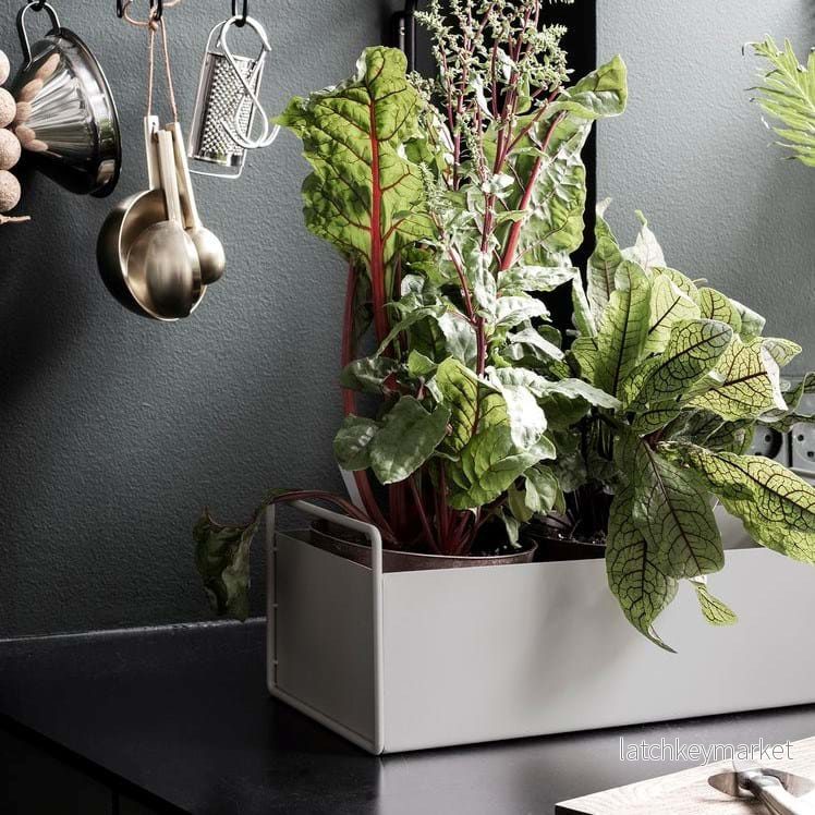 Plant Box Small - Bild 2