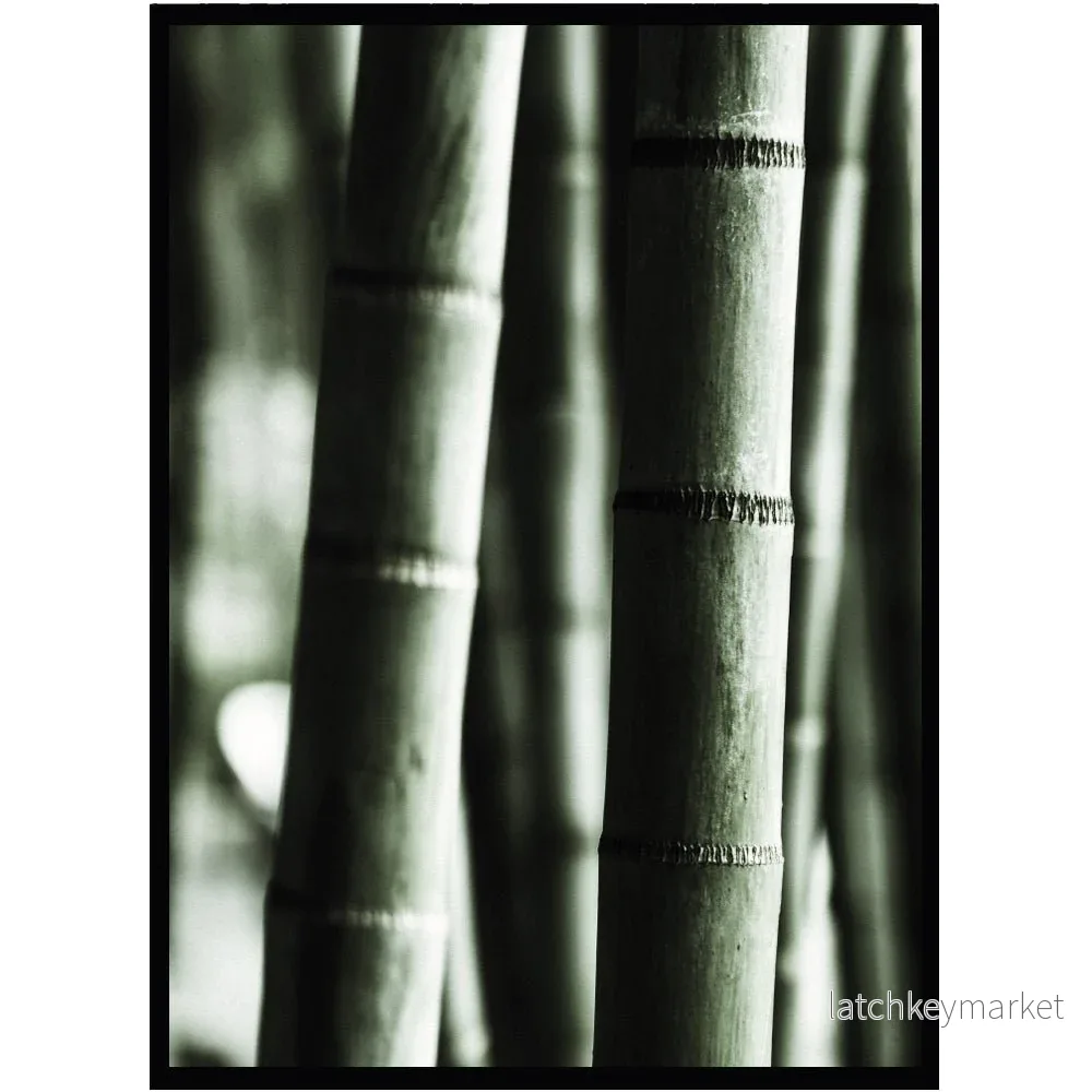 Poster Bambu Poster Bambu