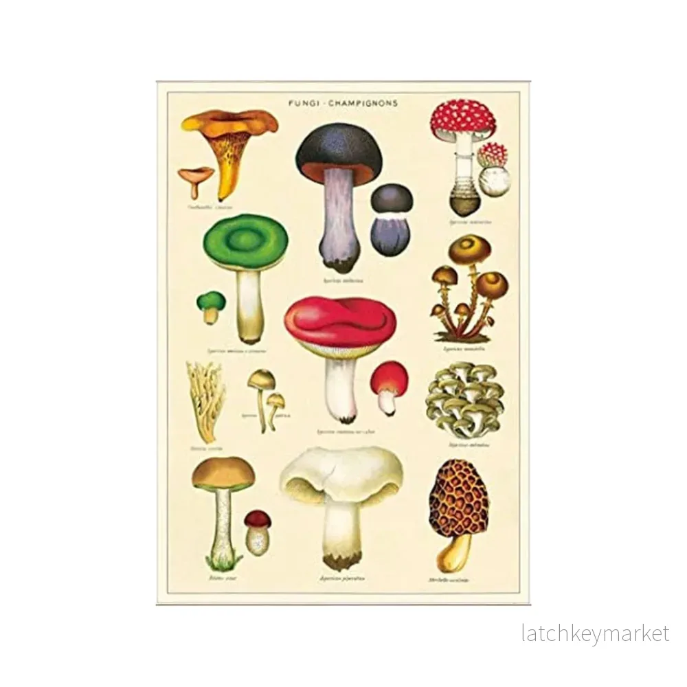 Vintage poster ’Mushrooms’