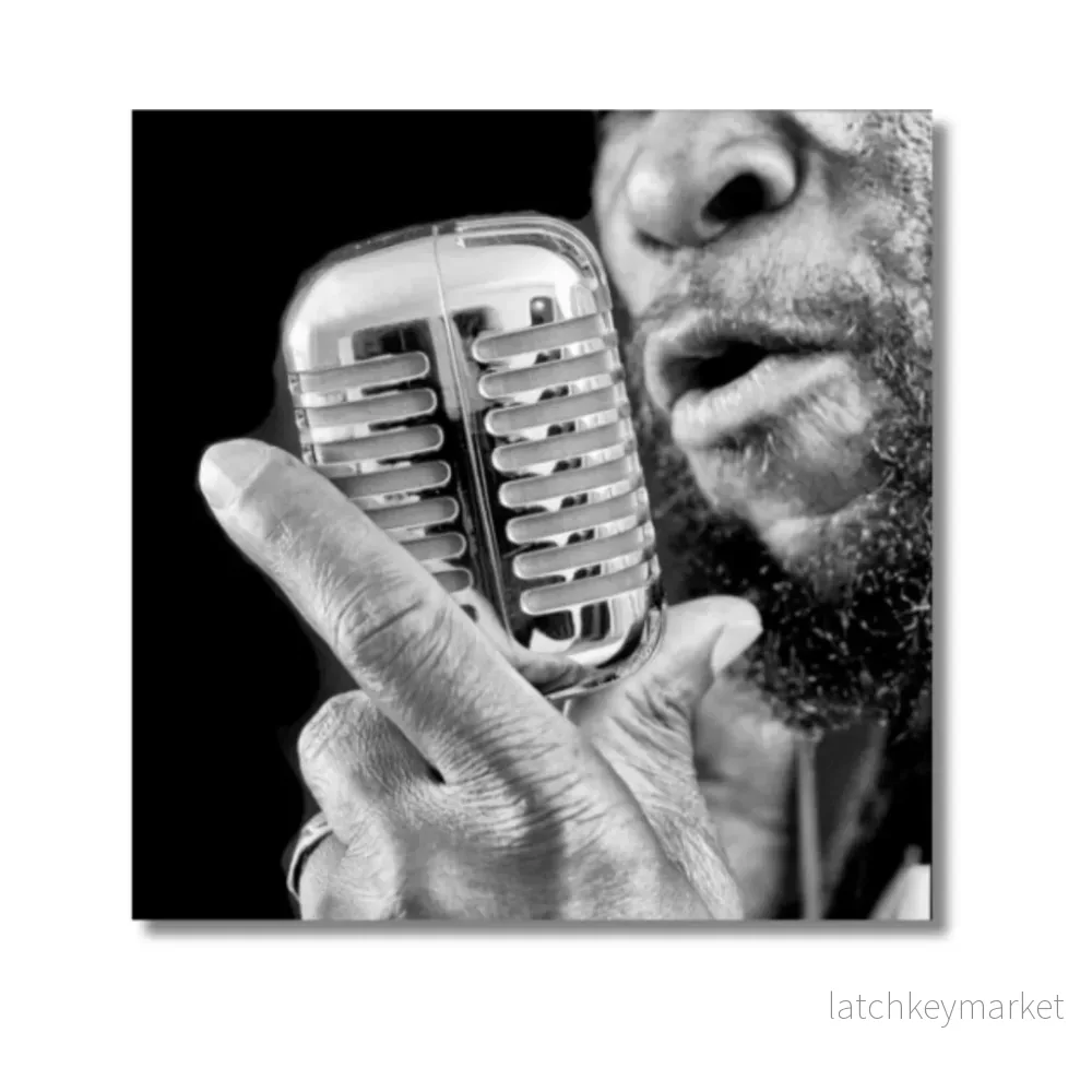 MICROPHONE MICROPHONE