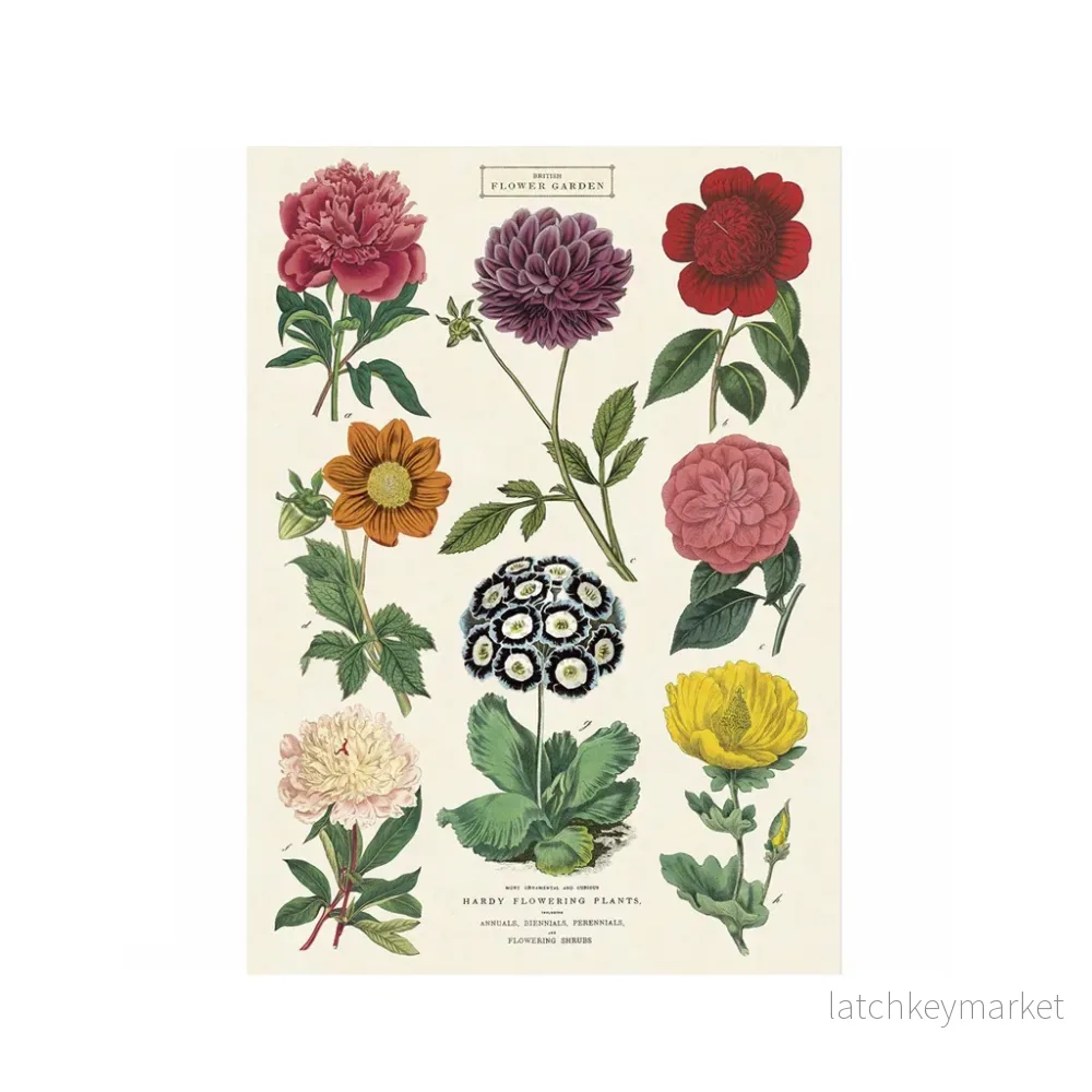 Vintage poster ’Botany II’ Vintage poster ’Botany II’