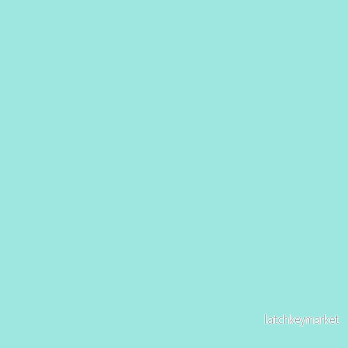 NCS S 0530-B60G