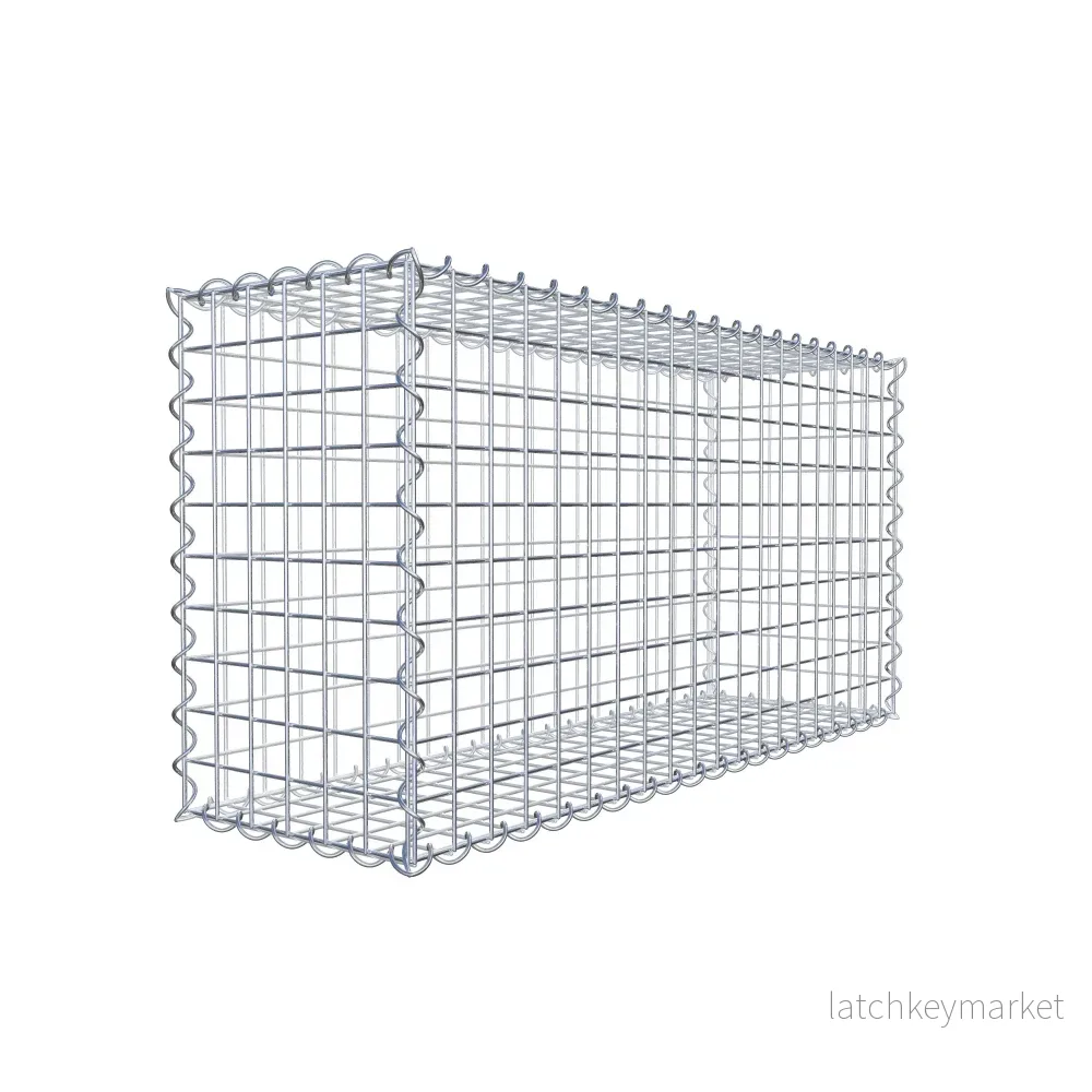 Gabion 100 cm x 50 cm x 30 cm (L x H x D), maskstorlek 5 cm x 5 cm, spiral