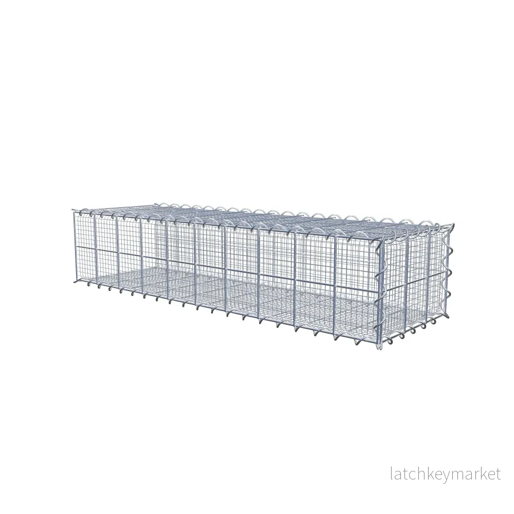 Sandodlingsgabion typ 2 100 cm x 20 cm x 30 cm (L x H x D), maskstorlek 10 cm x 10 cm, spiral - Bild 2