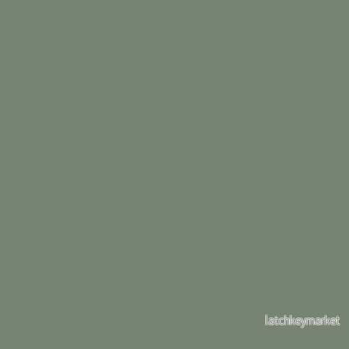 NCS S 5010-G30Y NCS S 5010-G30Y