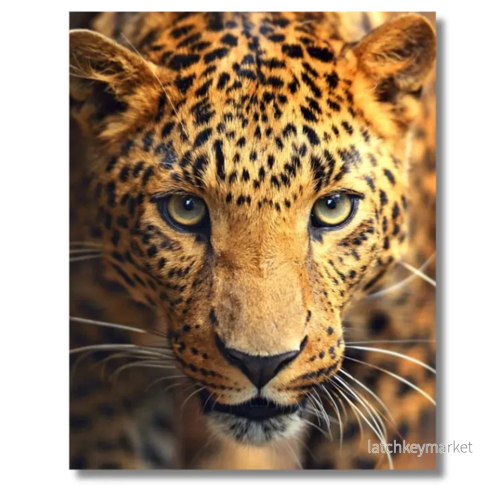 Tavla Aluminium art Leopard Tavla Aluminium art Leopard