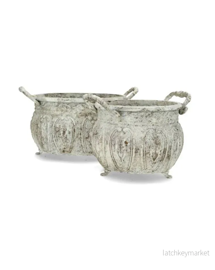 Blomkruka Utomhus Aris Ash 19/24 cm 2-pack