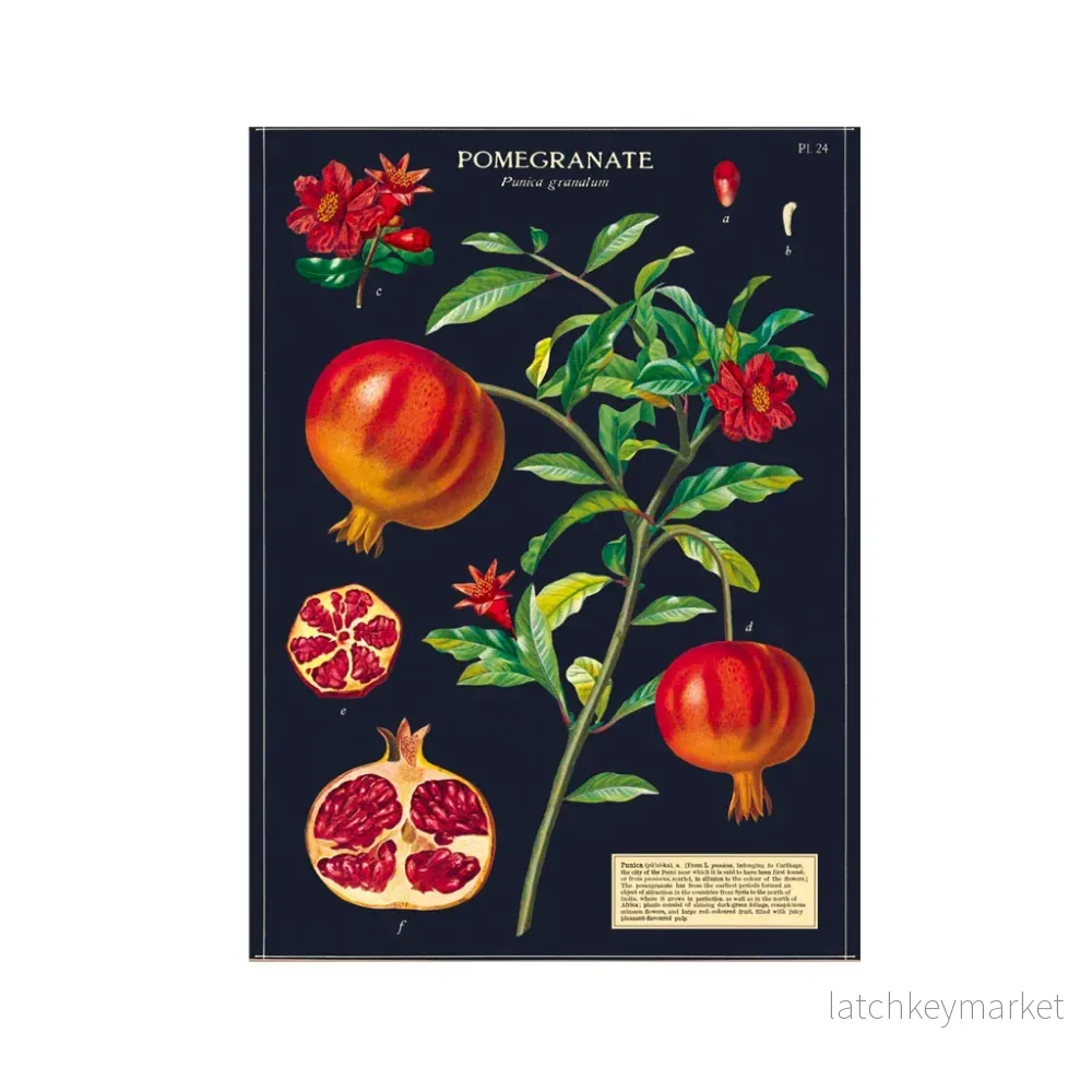 Vintage poster ’Pomegranate’ Vintage poster ’Pomegranate’