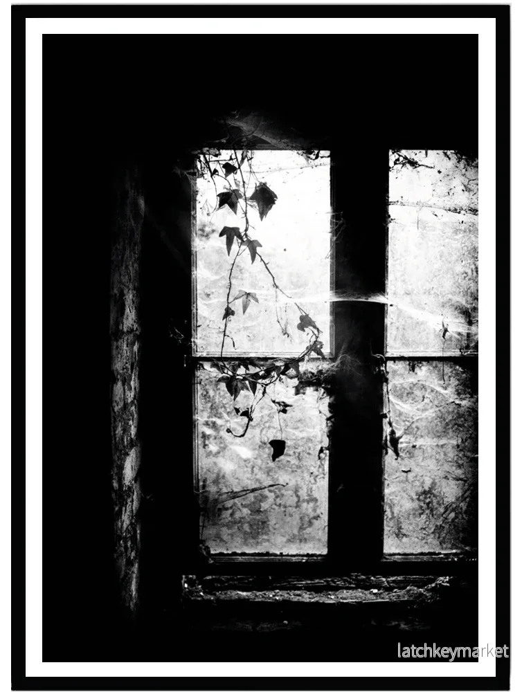 Poster Abandoned house Poster Abandoned house