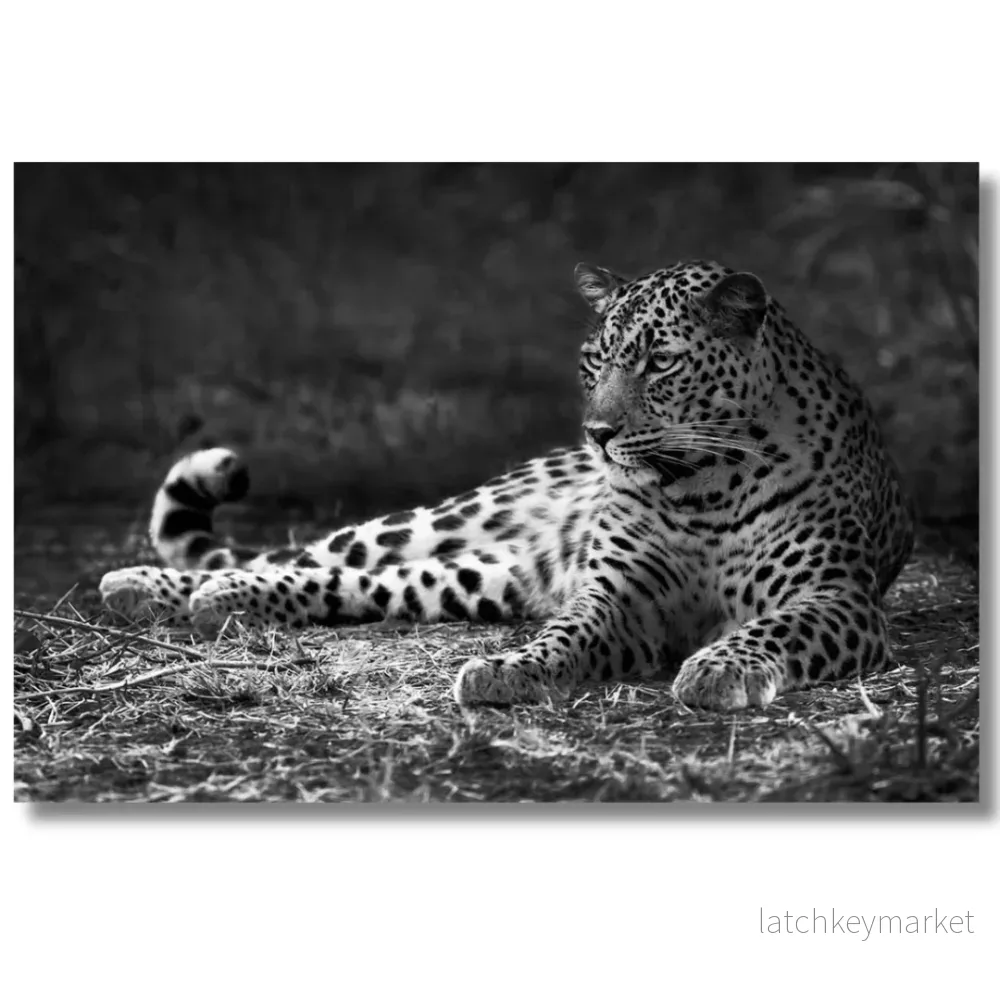 Tavla Aluminium art Cheetah